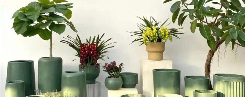 花草归类知几多