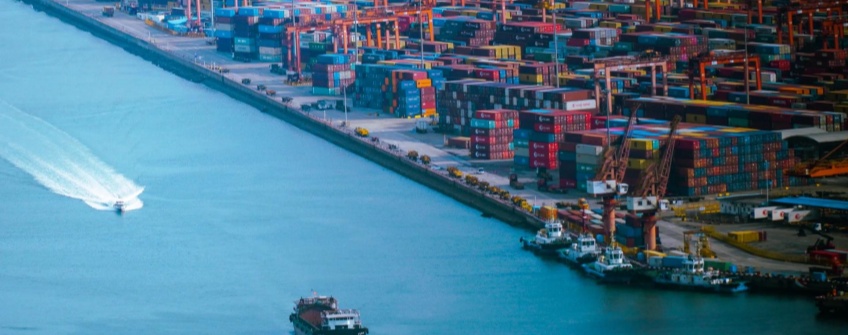 从云南牛油果出口看跨境物流新机缘