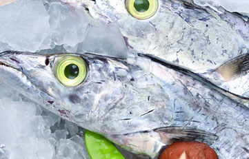 冻带鱼进口报关当苦衷项？