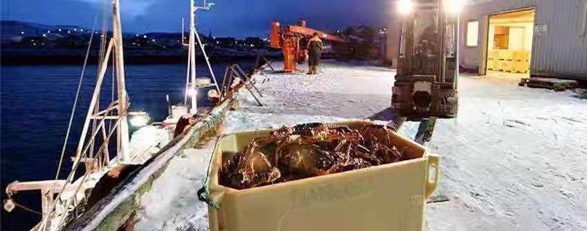 国表活海鲜进口广州能够清关吗？