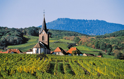 葡萄酒进口报关：法国红酒进口报关身分有哪些？